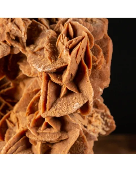 Rosa del Deserto su base di legno