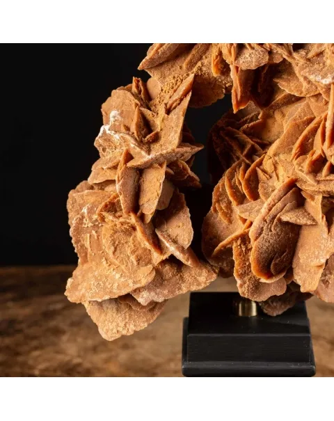 Rosa del Deserto su base di legno