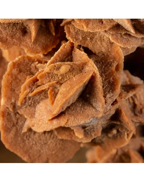 Rosa del Deserto su base di legno