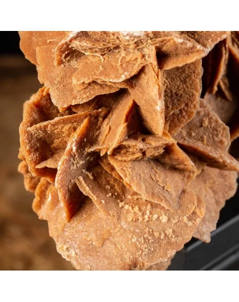 Rosa del Deserto su base di legno