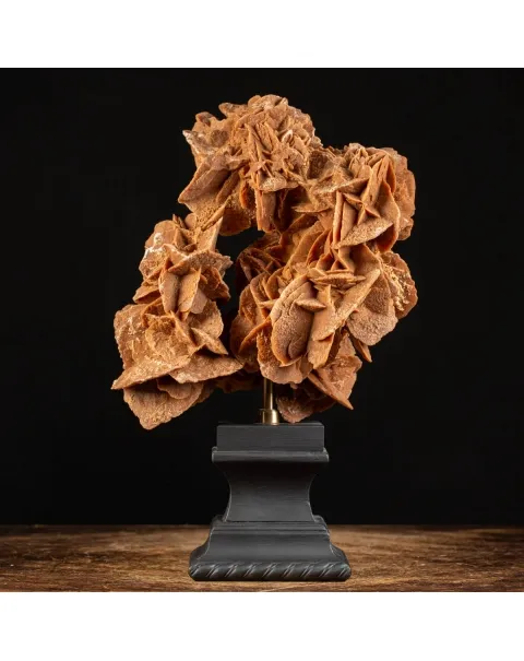 Rosa del Deserto su base di legno