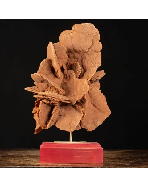 Rosa del Deserto su base di legno
