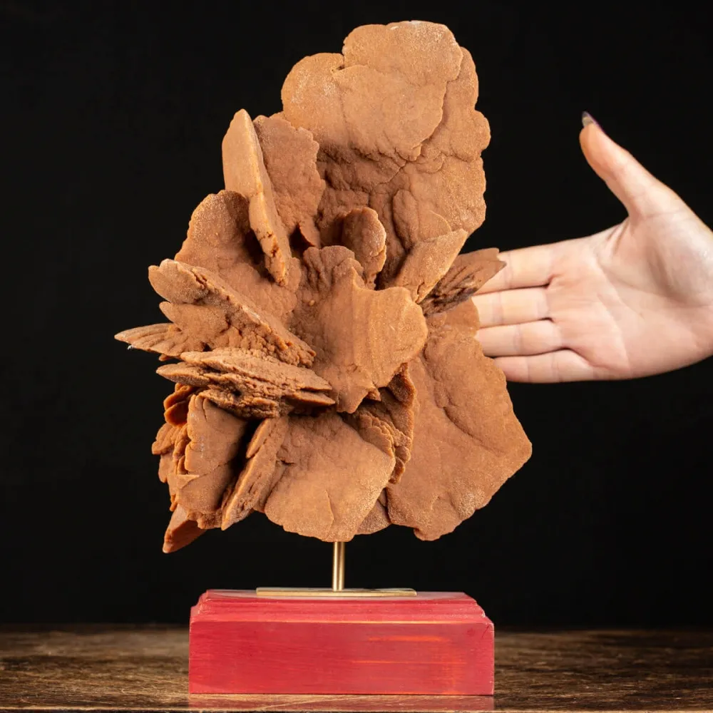 Rosa del Deserto su base di legno