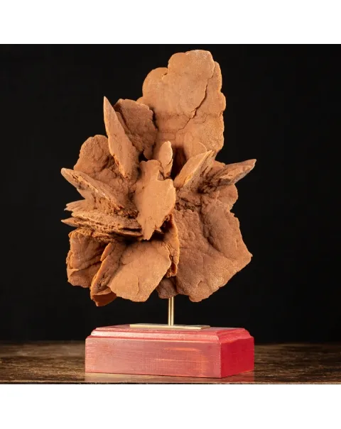 Rosa del Deserto su base di legno