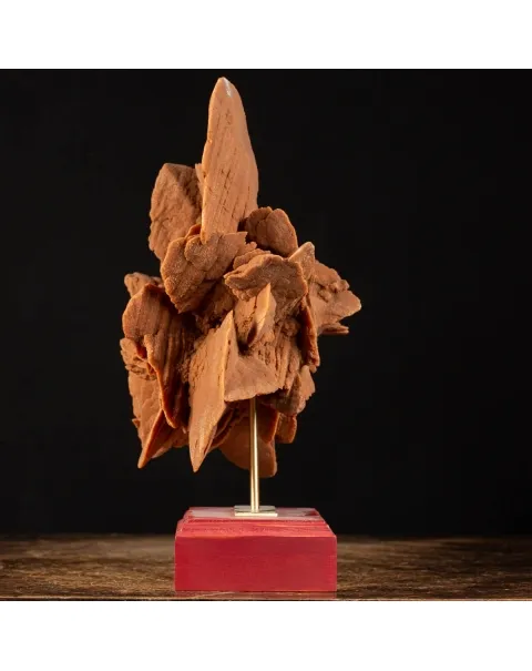 Rosa del Deserto su base di legno