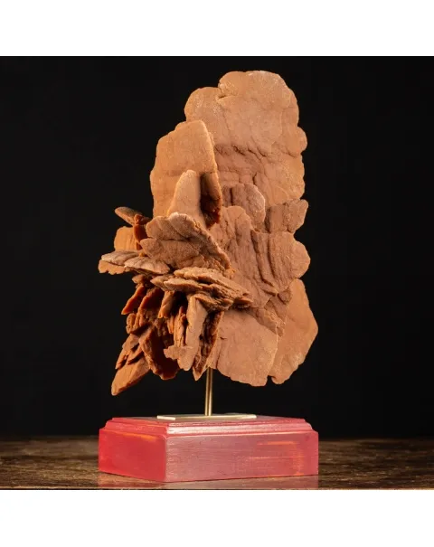 Rosa del Deserto su base di legno