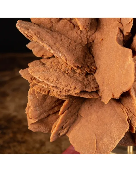 Rosa del Deserto su base di legno