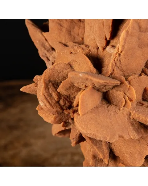 Rosa del Deserto su base di legno