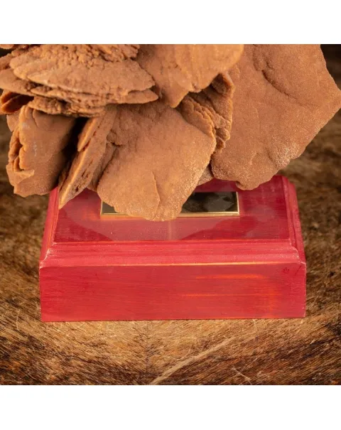 Rosa del Deserto su base di legno