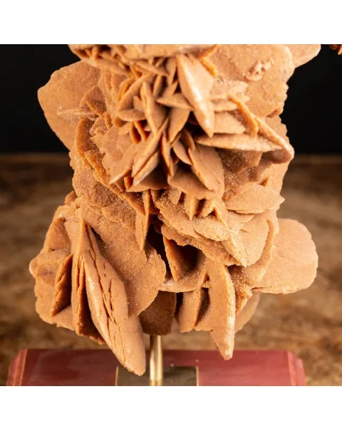 Rosa del Deserto su base di legno