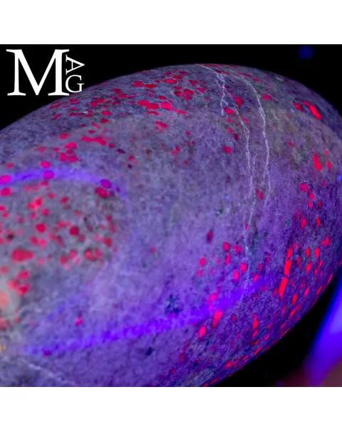Shiva Lingam in Rubini in matrice di Cianite.