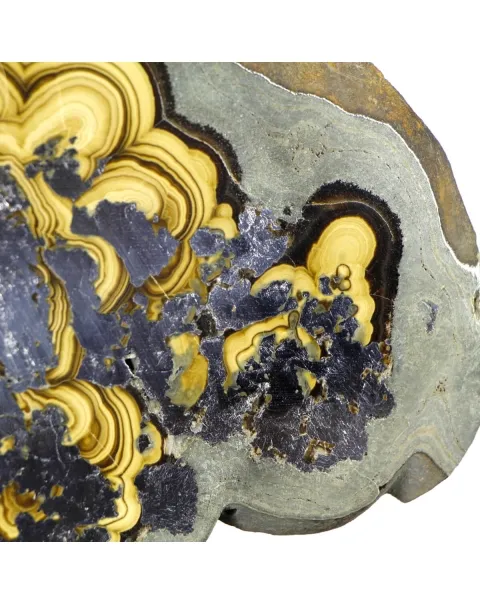 Schalenblende