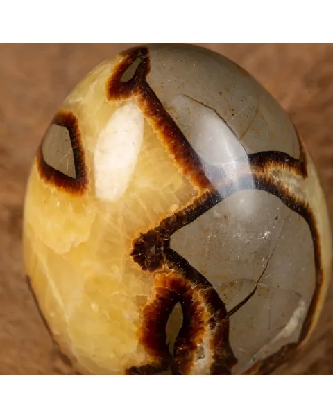 Uovo di Septaria con cristallo di Aragonite