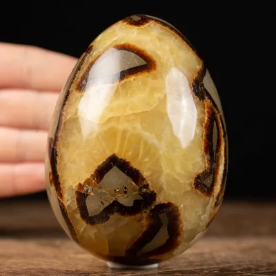 Uovo di Septaria con cristallo di Aragonite