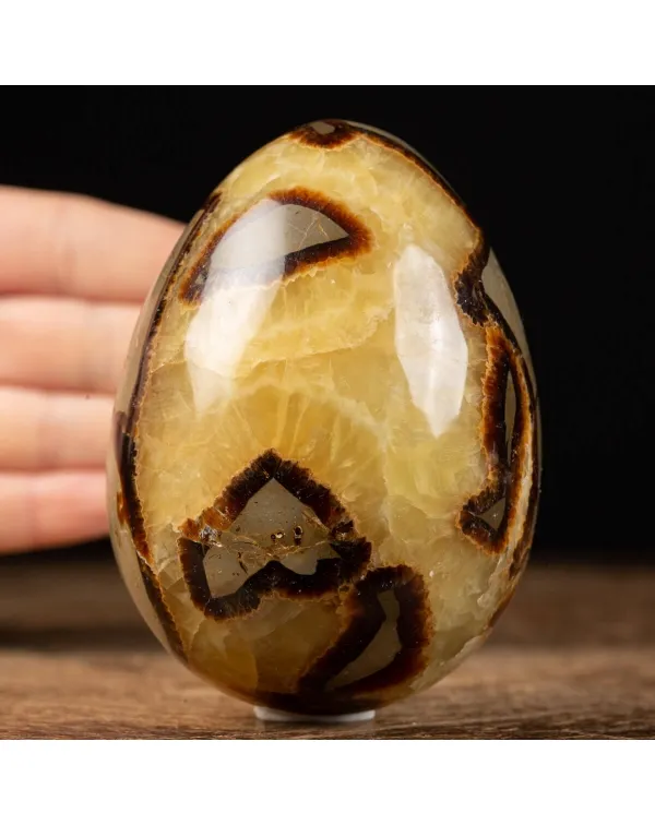 Uovo di Septaria con cristallo di Aragonite