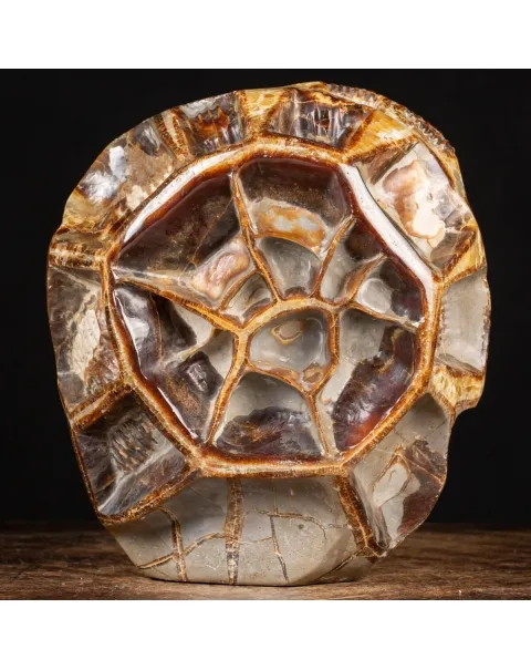 Septaria