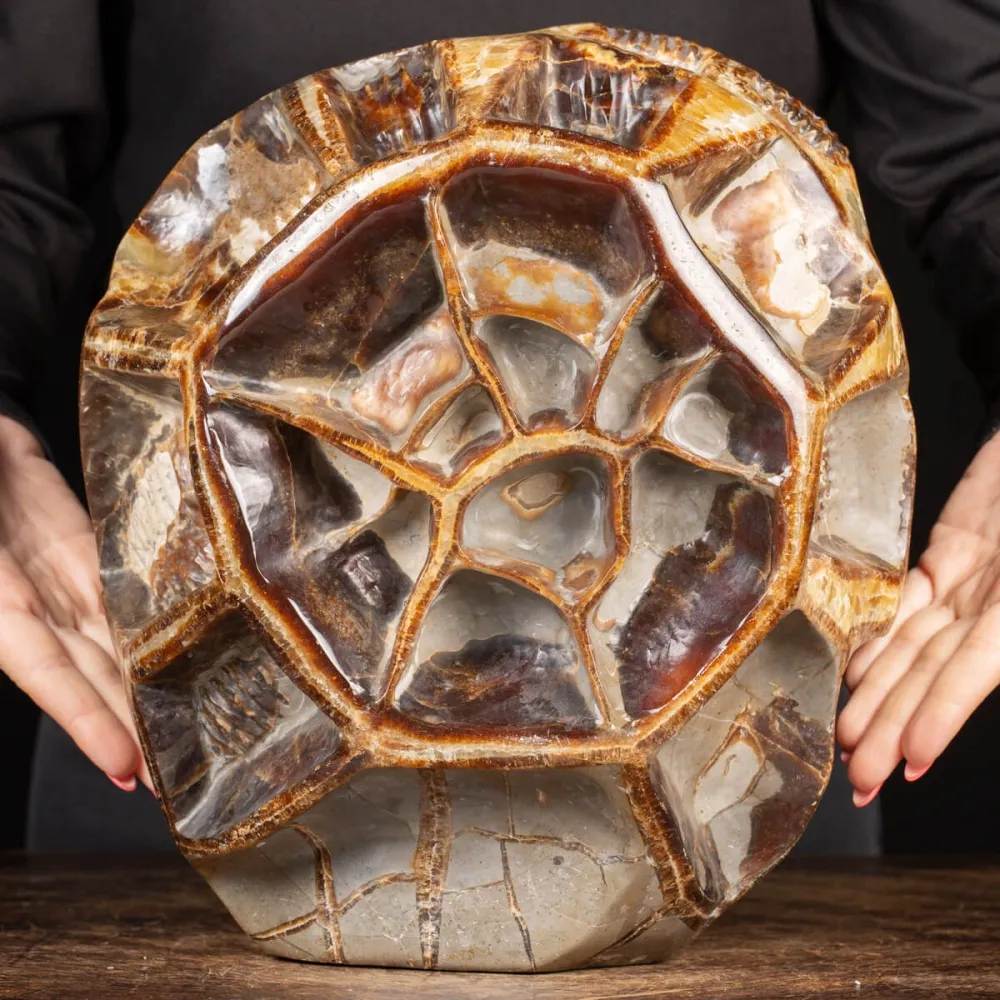 Septaria