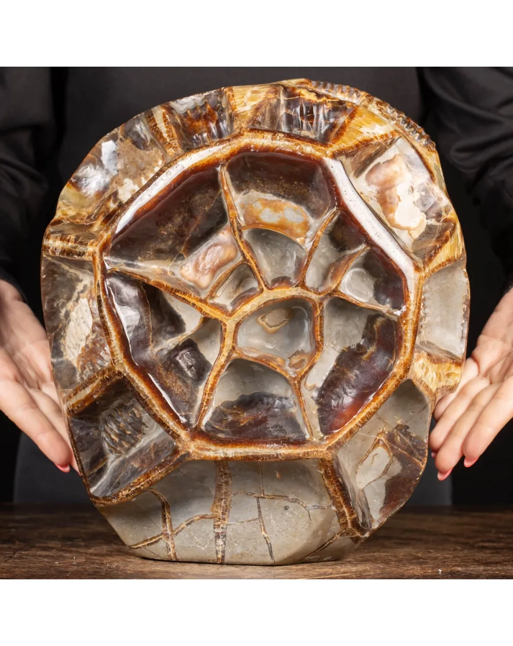 Septaria