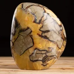 Septaria Forma Libera Lucida (5)
