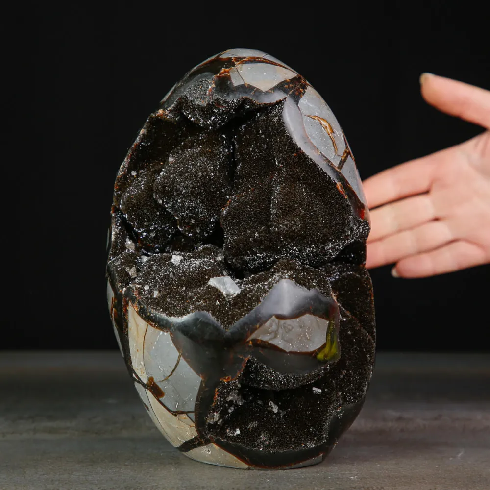 Geode di Septaria a Forma di Uovo.