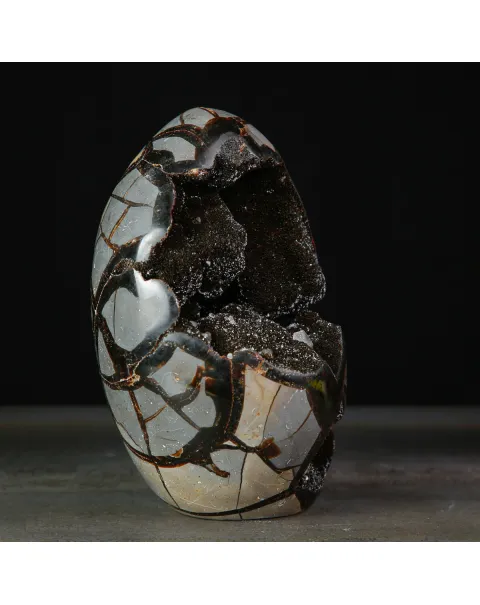 Geode di Septaria a Forma di Uovo.