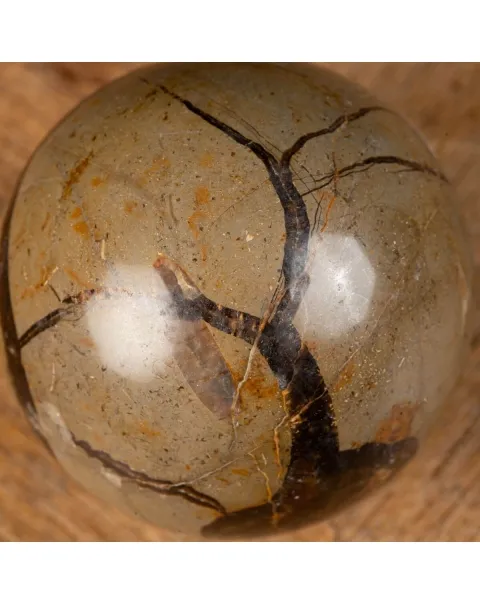 Sfera in Septaria