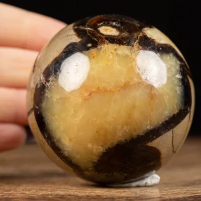 Sfera in Septaria