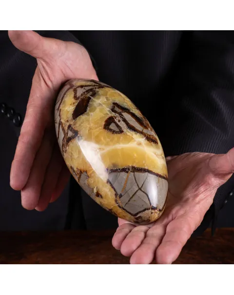 Shiva Lingam in Septaria