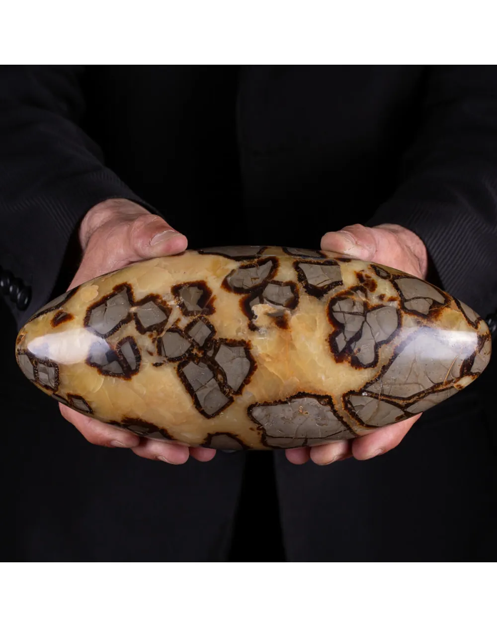 Shiva Lingam di Septaria: Ponte tra il Divino e il Terreno.
