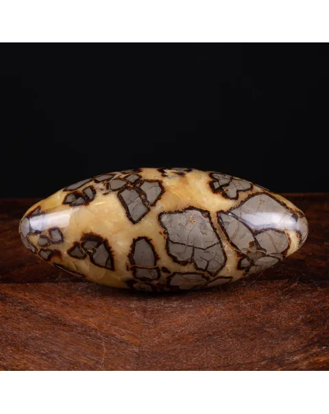 Shiva Lingam di Septaria: Ponte tra il Divino e il Terreno.