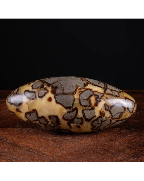 Shiva Lingam di Septaria: Ponte tra il Divino e il Terreno.