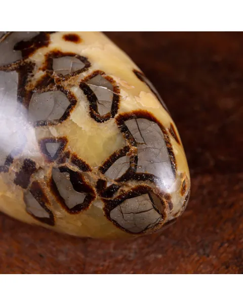 Shiva Lingam di Septaria: Ponte tra il Divino e il Terreno.