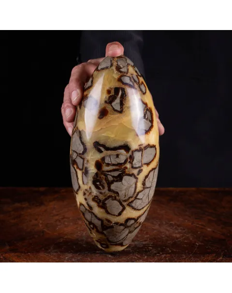 Shiva Lingam di Septaria: Ponte tra il Divino e il Terreno.