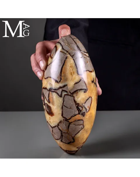 Shiva Lingam di Septaria: Alchimia Interiore per la Trasformazione.