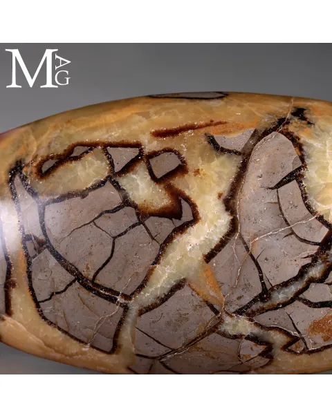 Shiva Lingam di Septaria: Alchimia Interiore per la Trasformazione.