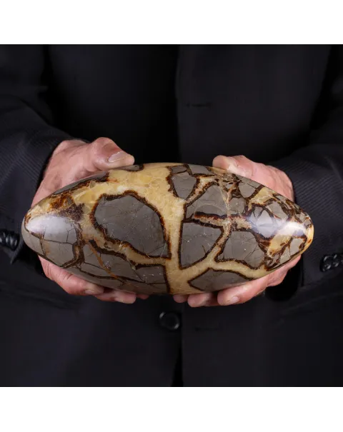 Shiva Lingam di Septaria: Equilibrio e Purificazione Energetica.