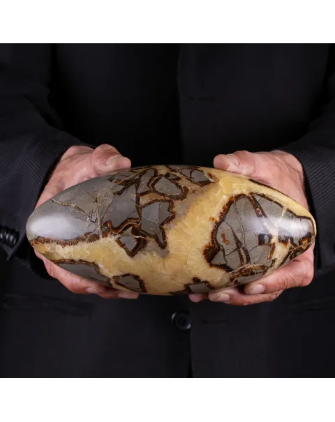 Shiva Lingam di Septaria: Equilibrio e Purificazione Energetica.