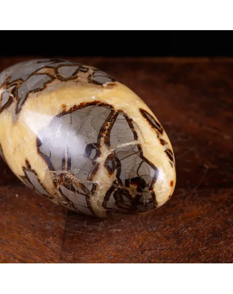 Shiva Lingam di Septaria: Equilibrio e Purificazione Energetica.