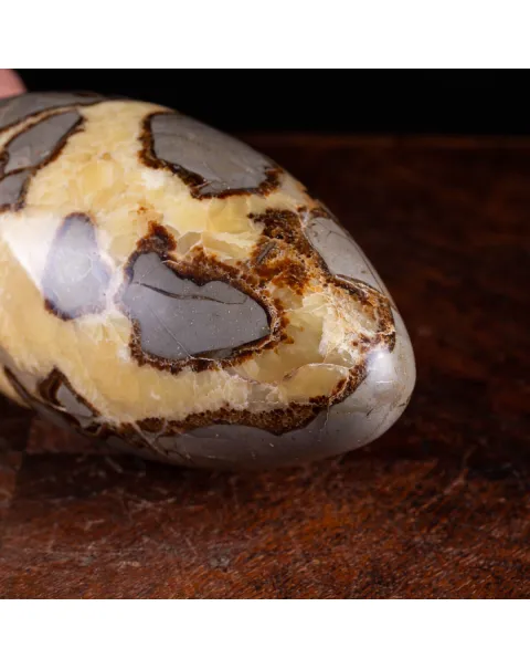 Shiva Lingam di Septaria: Equilibrio e Purificazione Energetica.