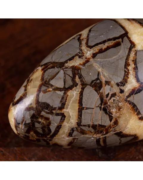 Shiva Lingam di Septaria: Equilibrio e Purificazione Energetica.