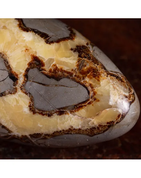Shiva Lingam di Septaria: Equilibrio e Purificazione Energetica.