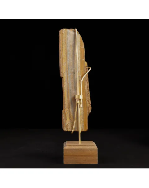 Occhio di Tigre in Esposizione.