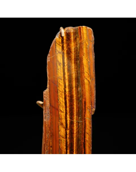Occhio di Tigre in Esposizione.