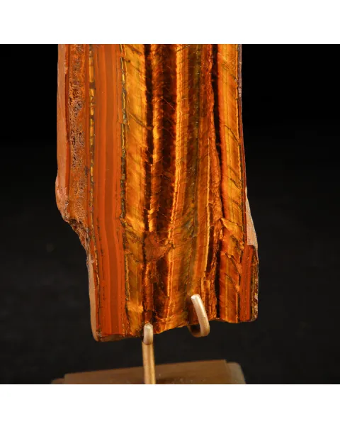 Occhio di Tigre in Esposizione.
