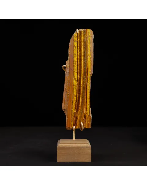 Occhio di Tigre in Esposizione.