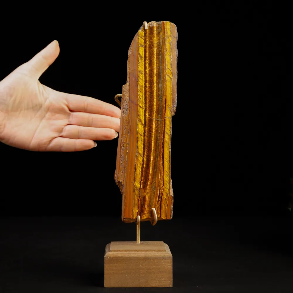 Occhio di Tigre in Esposizione.