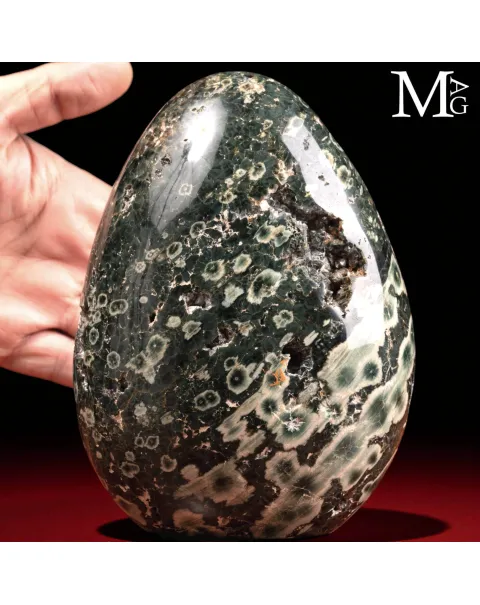 Diaspro Oceanico Orbicolare – 4ª Vena - Madagascar.