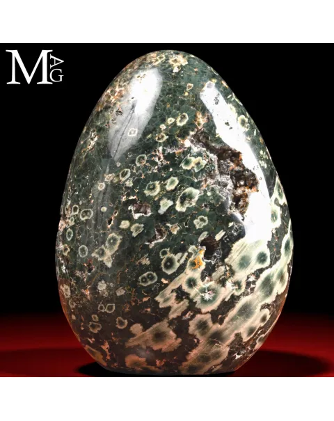 Diaspro Oceanico Orbicolare – 4ª Vena - Madagascar.