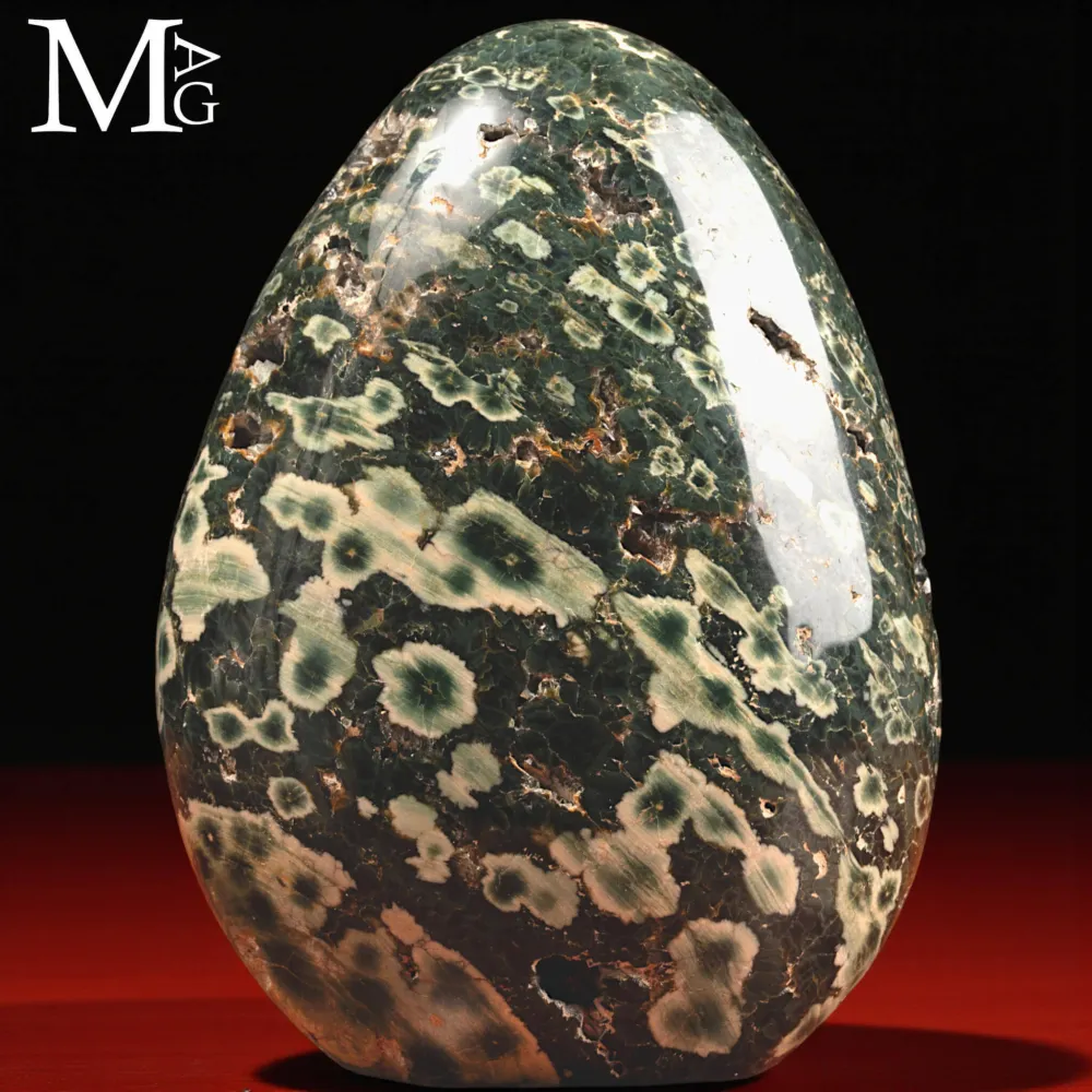 Diaspro Oceanico Orbicolare – 4ª Vena - Madagascar.