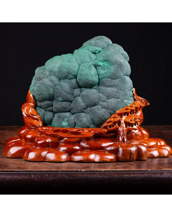 Elegante Malachite Botroidale dalla Shilu Mine.
